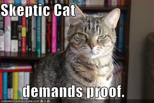 skeptic cat meme